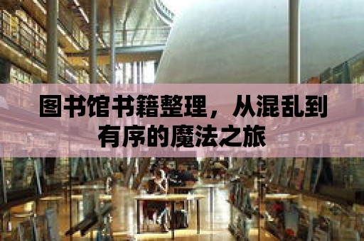 圖書館書籍整理，從混亂到有序的魔法之旅