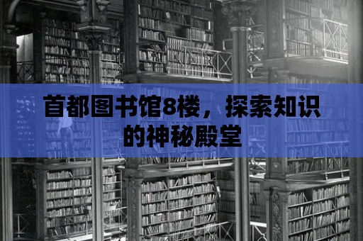 首都圖書館8樓，探索知識的神秘殿堂