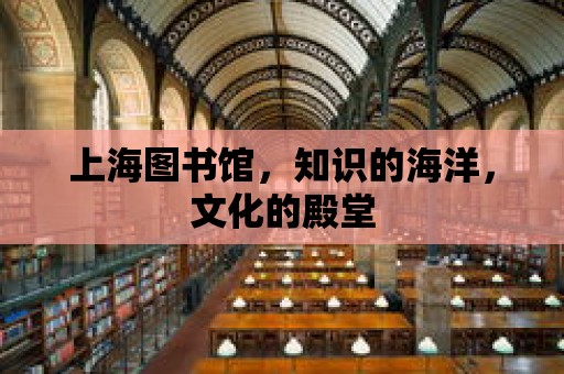 上海圖書館，知識的海洋，文化的殿堂