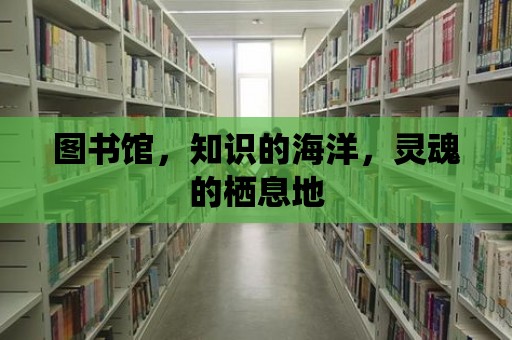 圖書館，知識的海洋，靈魂的棲息地