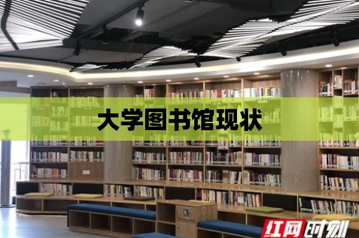 大學圖書館現狀