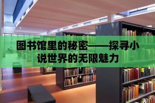 圖書館里的秘密——探尋小說世界的無限魅力