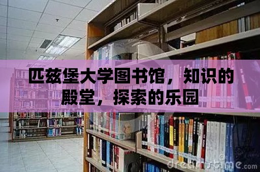 匹茲堡大學圖書館，知識的殿堂，探索的樂園