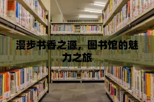 漫步書香之源，圖書館的魅力之旅