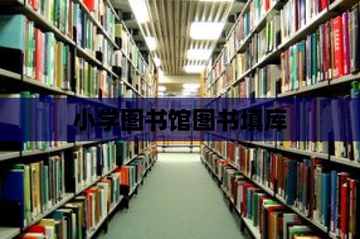 小學圖書館圖書填庫