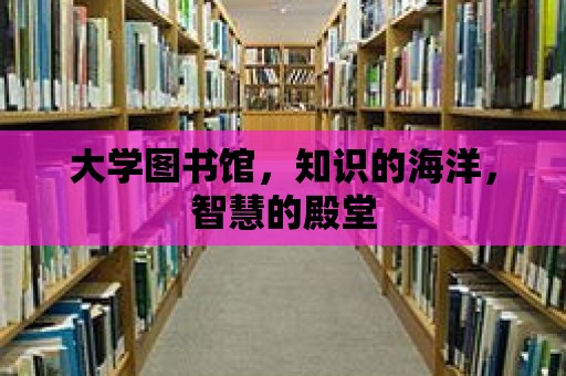 大學圖書館，知識的海洋，智慧的殿堂