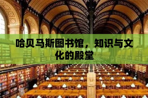 哈貝馬斯圖書館，知識與文化的殿堂