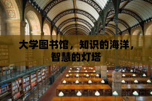 大學(xué)圖書館，知識(shí)的海洋，智慧的燈塔