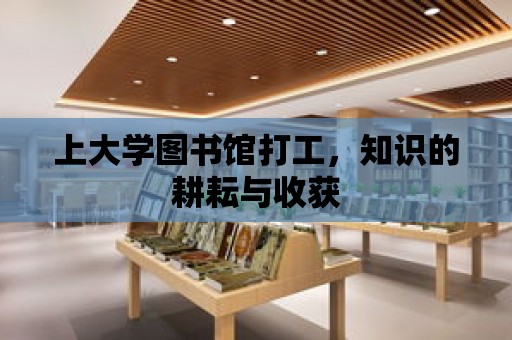 上大學圖書館打工，知識的耕耘與收獲