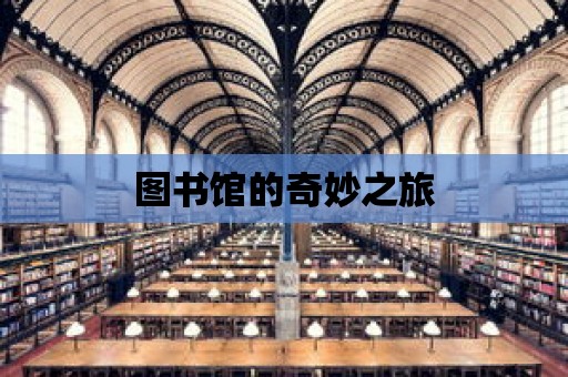 圖書館的奇妙之旅