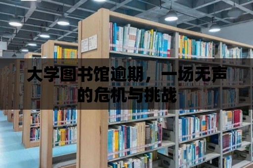 大學圖書館逾期，一場無聲的危機與挑戰