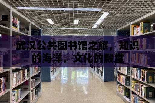 武漢公共圖書館之旅，知識的海洋，文化的殿堂