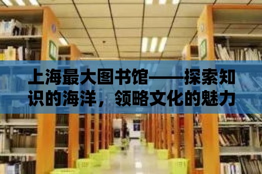 上海最大圖書館——探索知識的海洋，領略文化的魅力