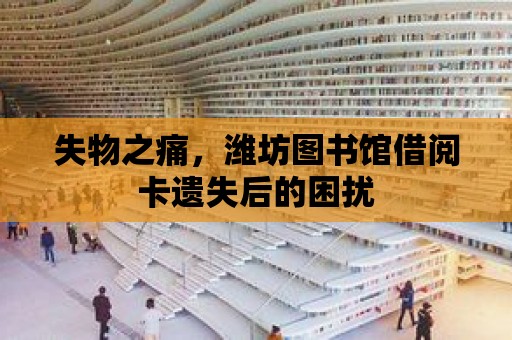 失物之痛，濰坊圖書館借閱卡遺失后的困擾