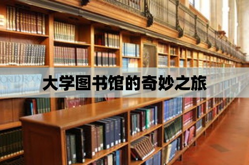 大學圖書館的奇妙之旅