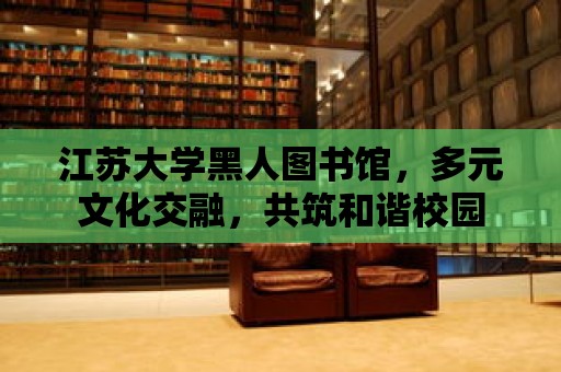 江蘇大學(xué)黑人圖書館，多元文化交融，共筑和諧校園