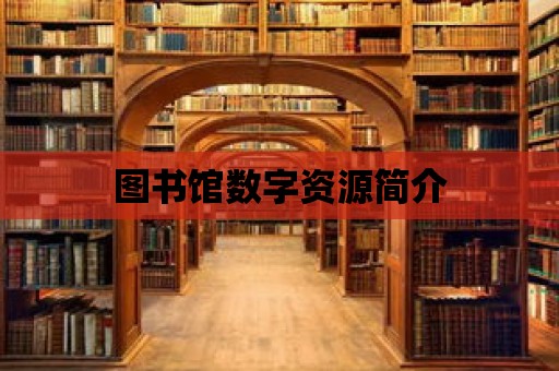 圖書館數字資源簡介