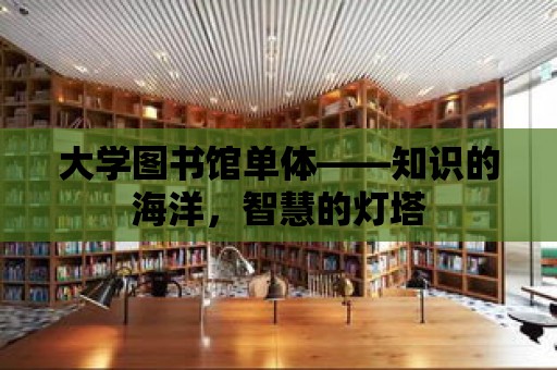 大學圖書館單體——知識的海洋，智慧的燈塔