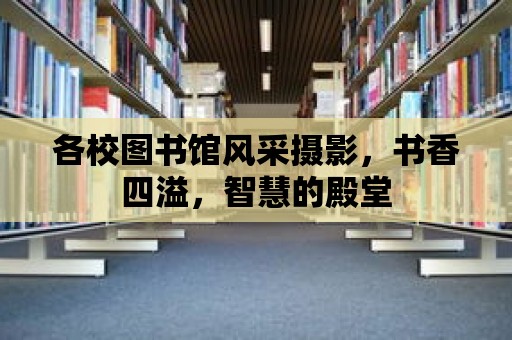 各校圖書館風采攝影，書香四溢，智慧的殿堂