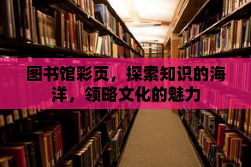 圖書館彩頁，探索知識的海洋，領略文化的魅力