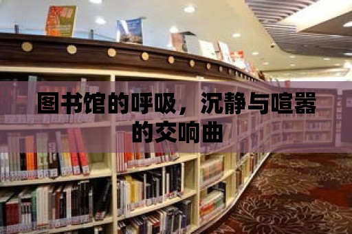 圖書館的呼吸，沉靜與喧囂的交響曲