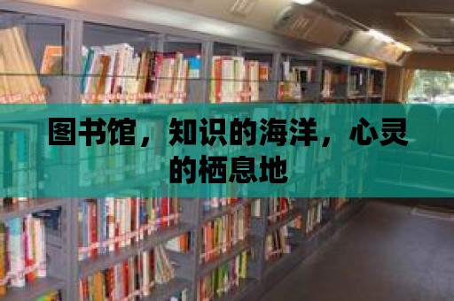 圖書館，知識(shí)的海洋，心靈的棲息地