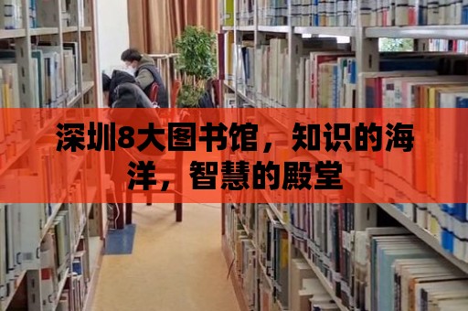 深圳8大圖書館，知識的海洋，智慧的殿堂