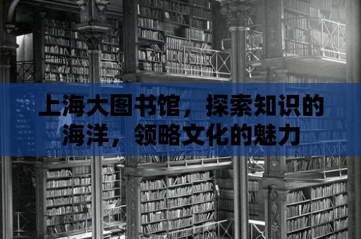 上海大圖書館，探索知識(shí)的海洋，領(lǐng)略文化的魅力