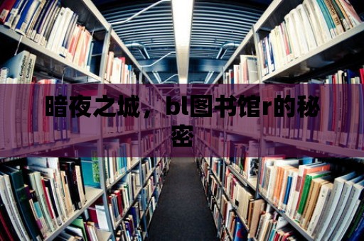 暗夜之城，bl圖書館r的秘密