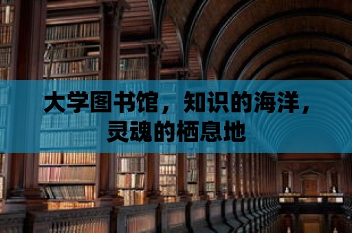 大學圖書館，知識的海洋，靈魂的棲息地