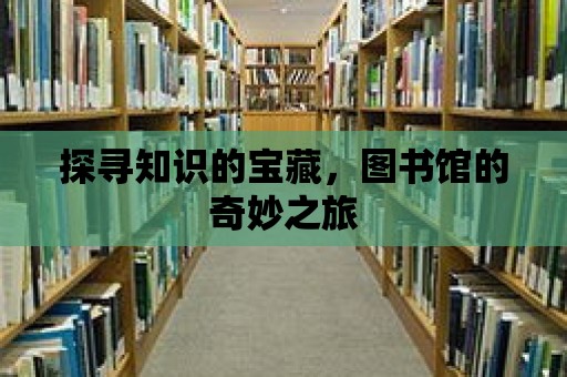 探尋知識(shí)的寶藏，圖書館的奇妙之旅