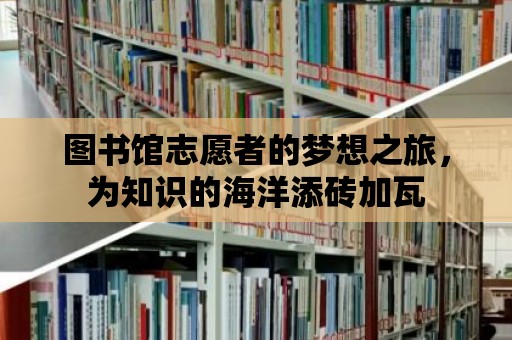 圖書館志愿者的夢想之旅，為知識的海洋添磚加瓦