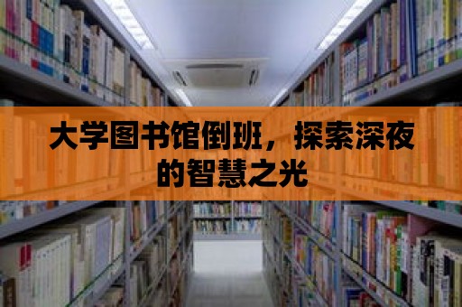 大學圖書館倒班，探索深夜的智慧之光