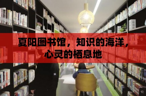 夏陽圖書館，知識的海洋，心靈的棲息地