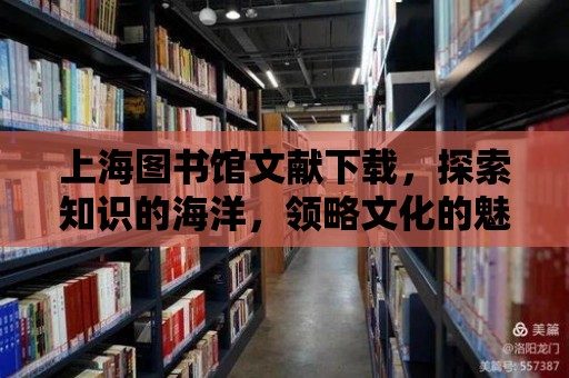 上海圖書館文獻下載，探索知識的海洋，領(lǐng)略文化的魅力