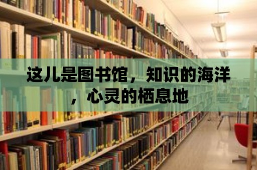 這兒是圖書館，知識的海洋，心靈的棲息地