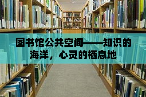 圖書館公共空間——知識的海洋，心靈的棲息地