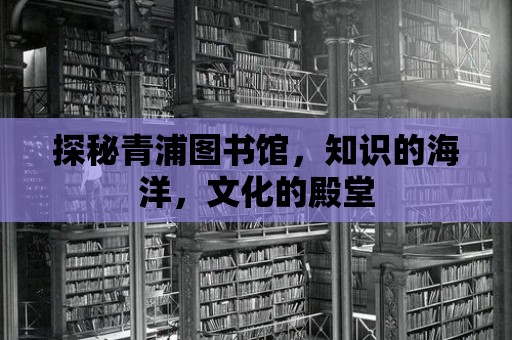 探秘青浦圖書館，知識的海洋，文化的殿堂