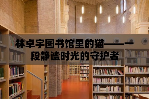 林卓宇圖書館里的貓——一段靜謐時光的守護者