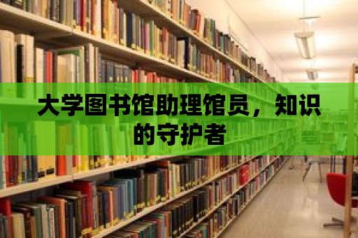 大學(xué)圖書館助理館員，知識(shí)的守護(hù)者