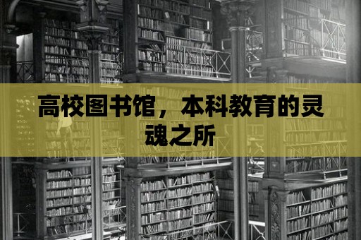 高校圖書館，本科教育的靈魂之所