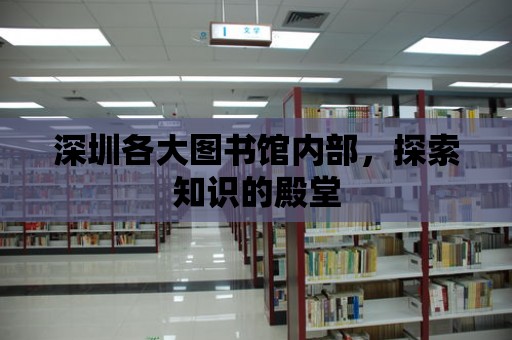 深圳各大圖書館內部，探索知識的殿堂