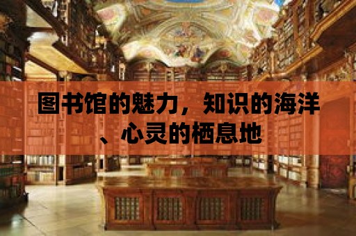 圖書館的魅力，知識(shí)的海洋、心靈的棲息地