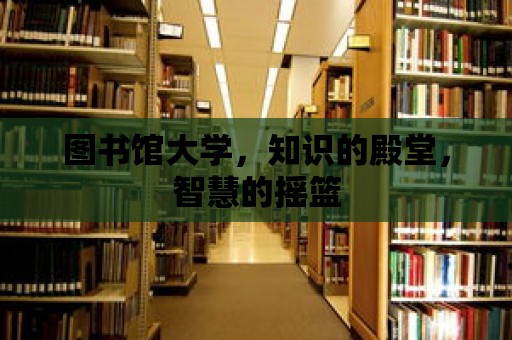 圖書館大學，知識的殿堂，智慧的搖籃