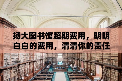 揚大圖書館超期費用，明明白白的費用，清清你的責(zé)任