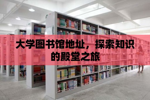 大學圖書館地址，探索知識的殿堂之旅