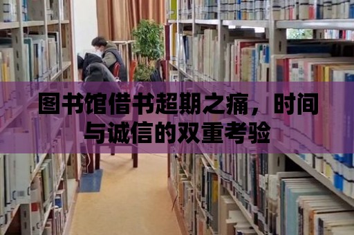 圖書館借書超期之痛，時間與誠信的雙重考驗