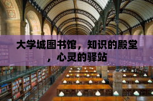 大學城圖書館，知識的殿堂，心靈的驛站