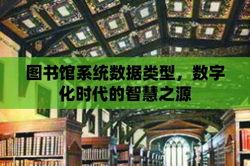 圖書館系統數據類型，數字化時代的智慧之源