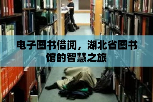 電子圖書借閱，湖北省圖書館的智慧之旅